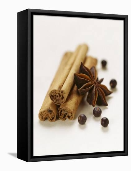Cinnamon Sticks, Juniper Berries and Star Anise-Clare Plueckhahn-Framed Stretched Canvas