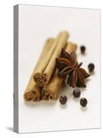 Cinnamon Sticks, Juniper Berries and Star Anise-Clare Plueckhahn-Stretched Canvas