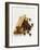 Cinnamon Sticks, Juniper Berries and Star Anise-Clare Plueckhahn-Framed Photographic Print