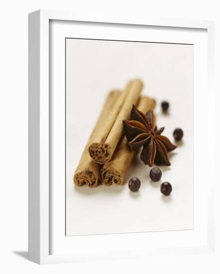 Cinnamon Sticks, Juniper Berries and Star Anise-Clare Plueckhahn-Framed Photographic Print