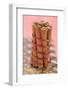 Cinnamon Sticks, Tied Together with Red Ribbon, on Chocolate-Eising Studio - Food Photo and Video-Framed Photographic Print