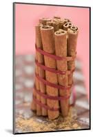 Cinnamon Sticks, Tied Together with Red Ribbon, on Chocolate-Eising Studio - Food Photo and Video-Mounted Photographic Print