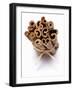 Cinnamon Sticks, Tied Together-null-Framed Photographic Print