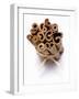 Cinnamon Sticks, Tied Together-null-Framed Photographic Print