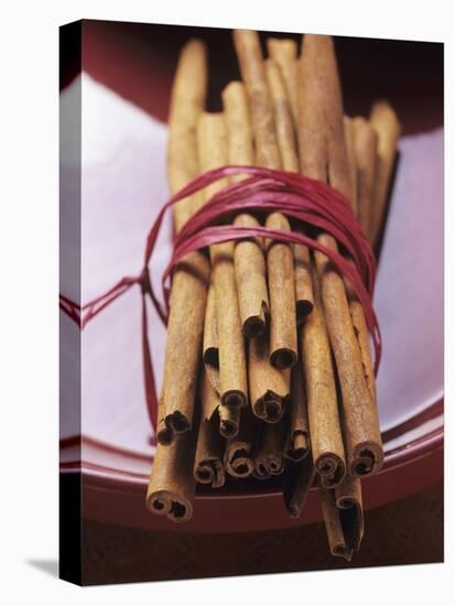 Cinnamon Sticks-Eising Studio - Food Photo and Video-Stretched Canvas