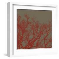 Cinnamon Tree II-Erin Clark-Framed Art Print