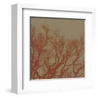 Cinnamon Tree II-Erin Clark-Framed Giclee Print