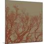 Cinnamon Tree II-Erin Clark-Mounted Art Print