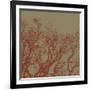 Cinnamon Tree II-Erin Clark-Framed Art Print