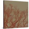 Cinnamon Tree II-Erin Clark-Stretched Canvas