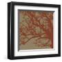 Cinnamon Tree III-Erin Clark-Framed Giclee Print