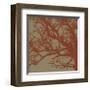 Cinnamon Tree III-Erin Clark-Framed Giclee Print