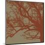 Cinnamon Tree III-Erin Clark-Mounted Giclee Print