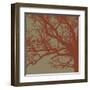 Cinnamon Tree III-Erin Clark-Framed Art Print