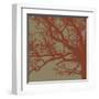 Cinnamon Tree III-Erin Clark-Framed Art Print