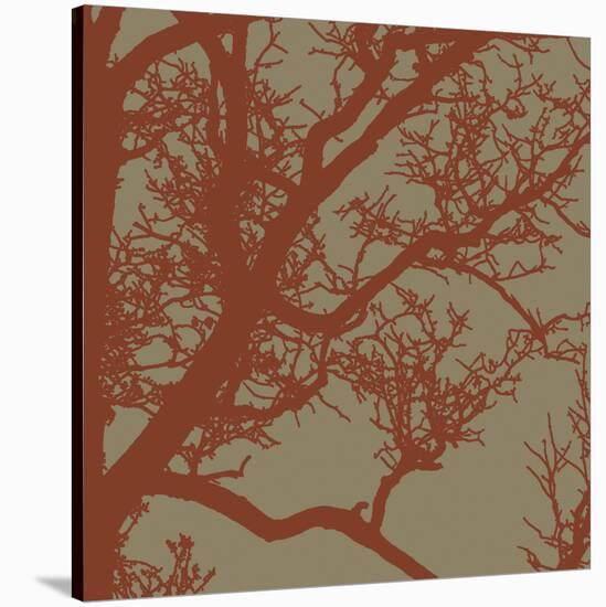 Cinnamon Tree IV-Erin Clark-Stretched Canvas