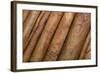 Cinnamon-null-Framed Photographic Print