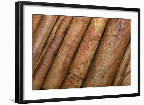 Cinnamon-null-Framed Photographic Print