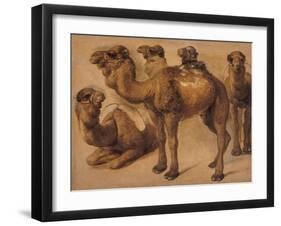 Cinq chameaux-Pieter Boel-Framed Giclee Print