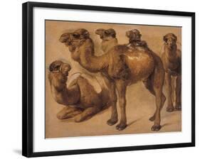 Cinq chameaux-Pieter Boel-Framed Giclee Print