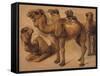 Cinq chameaux-Pieter Boel-Framed Stretched Canvas