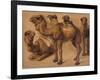 Cinq chameaux-Pieter Boel-Framed Giclee Print