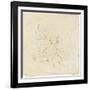 Cinq enfants nus-Arnould de Vuez-Framed Giclee Print