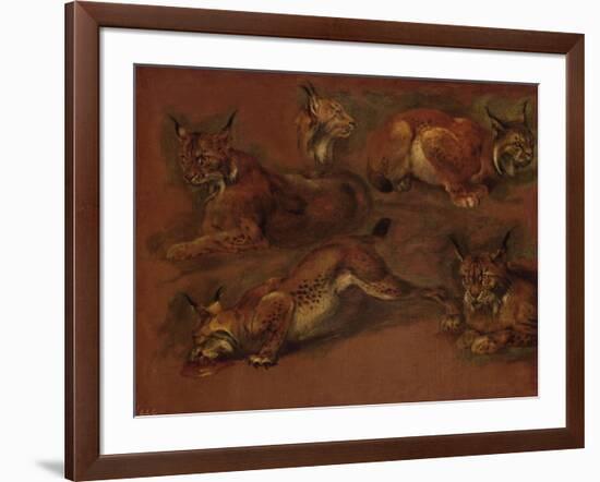 cinq lynx-Pieter Boel-Framed Giclee Print