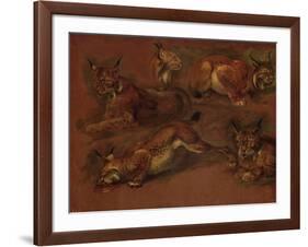 cinq lynx-Pieter Boel-Framed Giclee Print