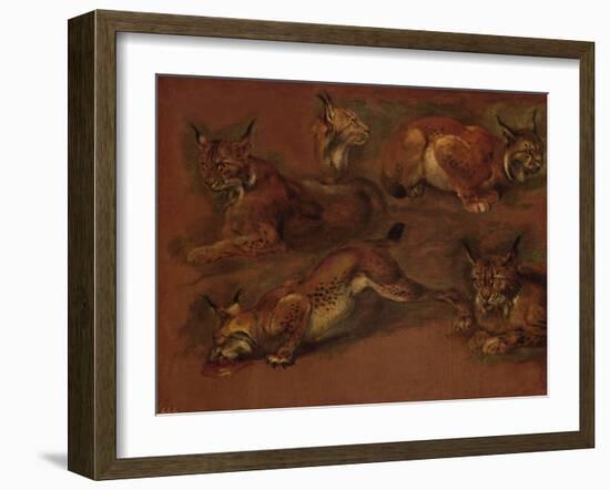 cinq lynx-Pieter Boel-Framed Giclee Print