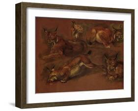 cinq lynx-Pieter Boel-Framed Giclee Print