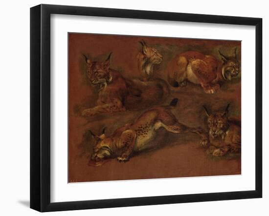 cinq lynx-Pieter Boel-Framed Giclee Print