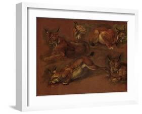 cinq lynx-Pieter Boel-Framed Giclee Print