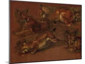 cinq lynx-Pieter Boel-Mounted Giclee Print