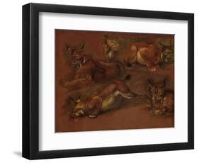 cinq lynx-Pieter Boel-Framed Giclee Print