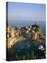 Cinque Terre, Coastal View and Village, Vernazza, Liguria, Italy-Steve Vidler-Stretched Canvas