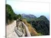 Cinque Terre Corniglia From the Trail-Marilyn Dunlap-Stretched Canvas