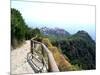 Cinque Terre Corniglia From the Trail-Marilyn Dunlap-Mounted Art Print