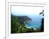 Cinque Terre Corniglia with vineyards-Marilyn Dunlap-Framed Art Print