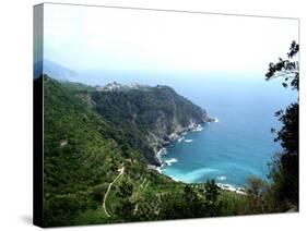 Cinque Terre Corniglia with vineyards-Marilyn Dunlap-Stretched Canvas