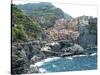 Cinque Terre Manarola-Marilyn Dunlap-Stretched Canvas