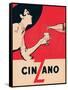 Cinzano-null-Framed Stretched Canvas