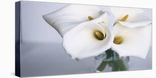 Exotic Blooms-Cinzia Ryan-Photographic Print