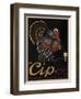 Cip Padova Turkey-null-Framed Giclee Print