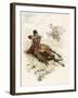 Circassian Soldier of the Czar's Escort Uses His Horse as Cover During a Firefight-L. Vallet-Framed Art Print