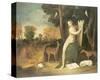 Circe And Her Lovers In A Landscape-Dosso Dossi-Stretched Canvas