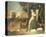 Circe And Her Lovers In A Landscape-Dosso Dossi-Stretched Canvas