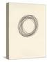 Circle 10-Jaime Derringer-Stretched Canvas