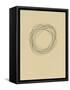 Circle 6-Jaime Derringer-Framed Stretched Canvas