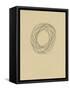 Circle 8-Jaime Derringer-Framed Stretched Canvas